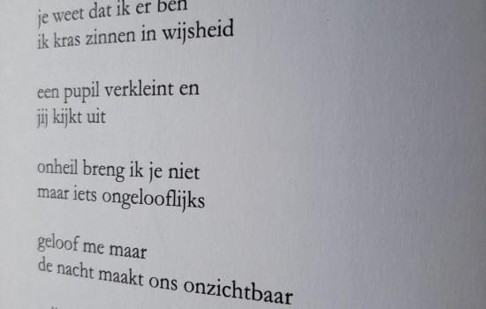 gedicht door Tom Veys