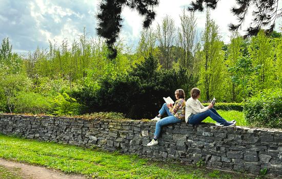 Lezen op een muurtje